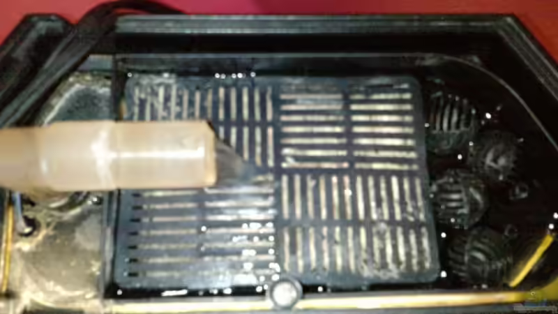 Filter (oben) von manala (10)