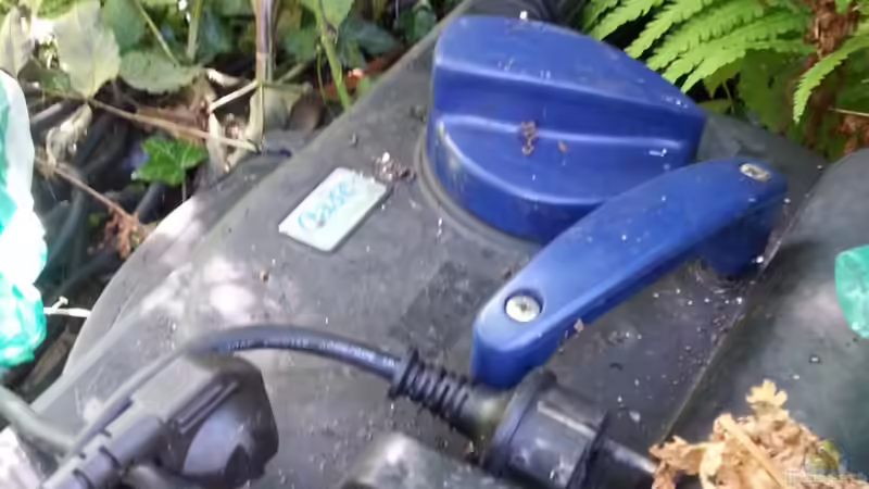 Filter oder Pflanzenklärzone? Möglichkeiten der Wasseraufbereitung im Gartenteich