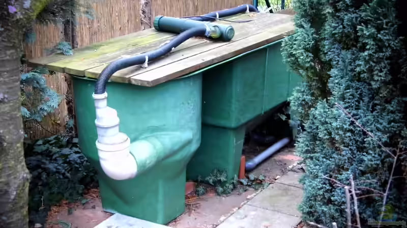 Filter oder Pflanzenklärzone? Möglichkeiten der Wasseraufbereitung im Gartenteich