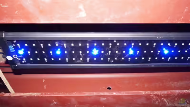 Filter Raumbeleuchtung LED von tattooindi (20)