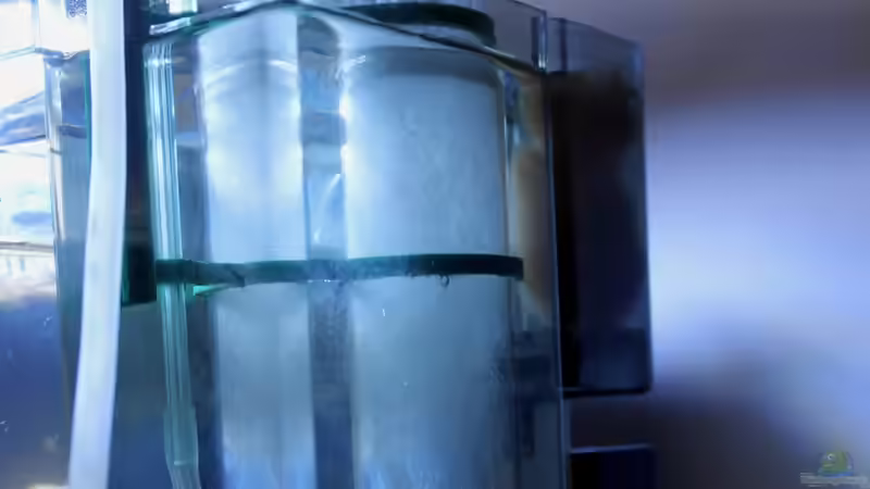 Filter und Abschäumer von die Perle... (6)