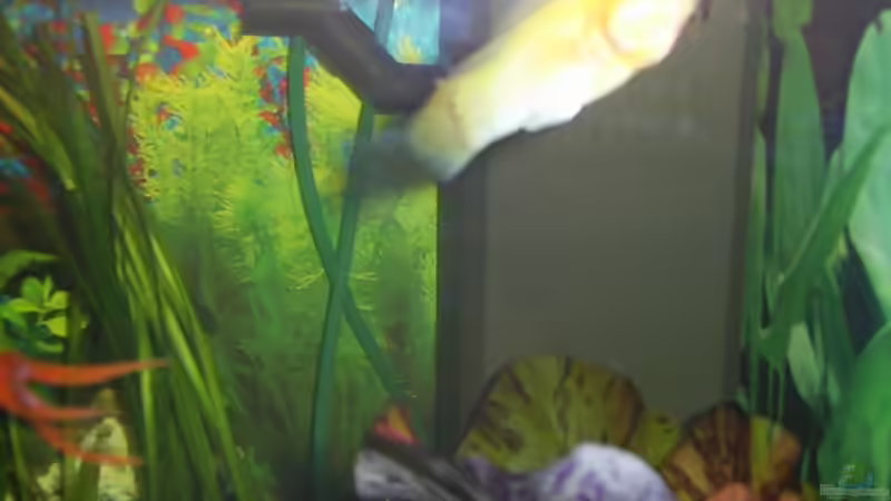 Filter und Heizer von Sergej Reiswich (12)