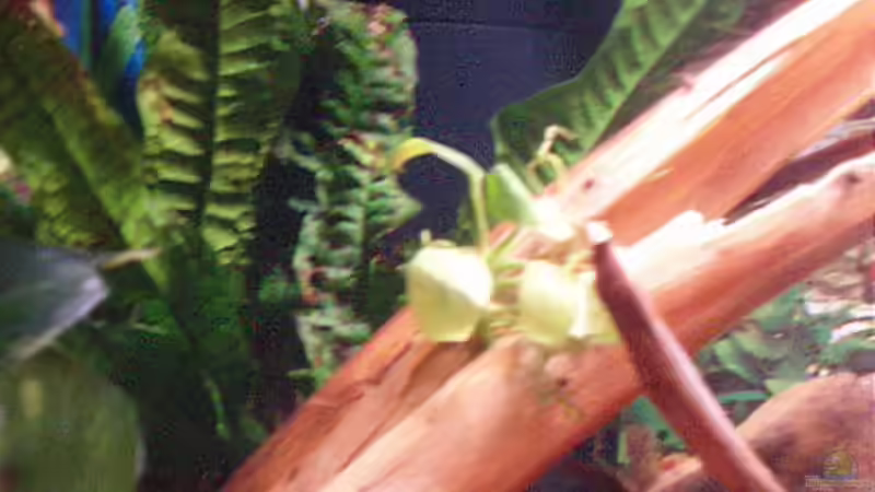 Filter und Heizstab von Jason (13)