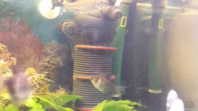 Filter und Heizstab von mamo2000 (27)