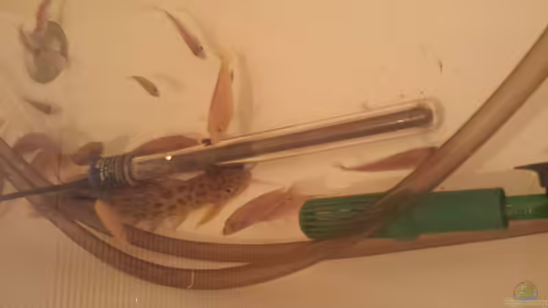 Filter und Heizung sind während dem Boxenstop angeschlossen von Thomas Riemenschneider (50)