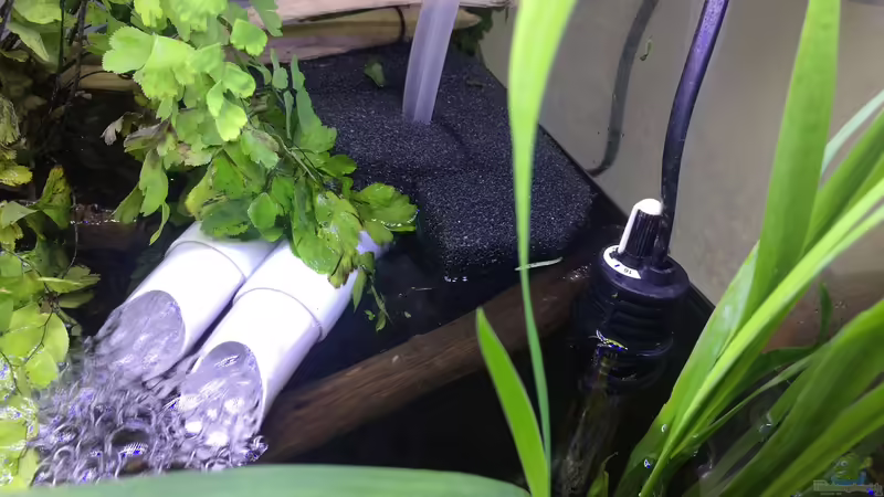 Filter und Heizung von Harald Kästner (32)