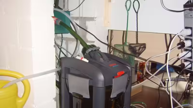 Filter unter Becken von AQ Daniel (4)