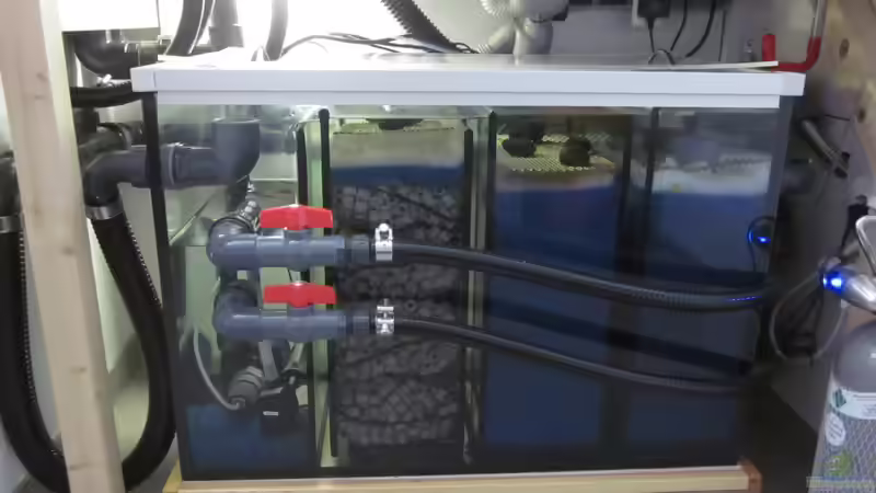 Filter voll bestückt und rund 1 Jahr in betrieb. von Holly (19)