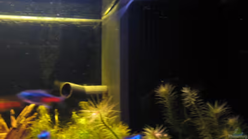 Filter von außen von Iglomer (5)