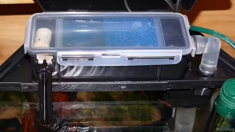 Filter von Bunter Fisch (13)