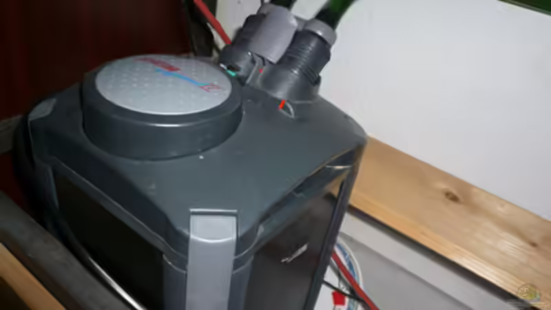 Filter von Cichlid Power (34)