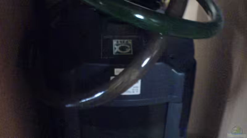 Filter von Dennis Mair (10)