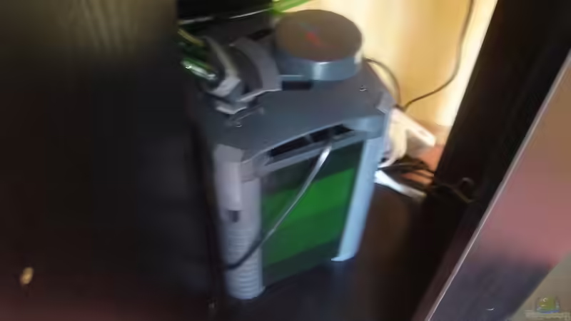 Filter von Eheim von aquaman29 (7)