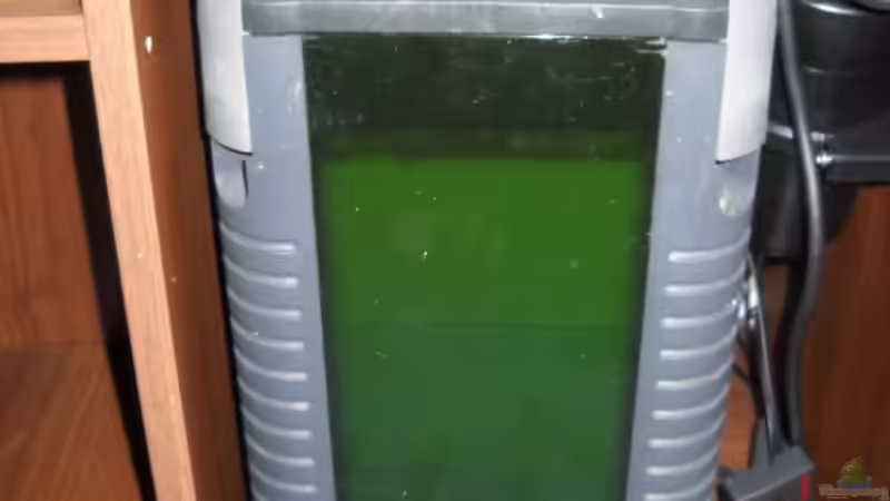 Filter von Flossenbeschauer (9)