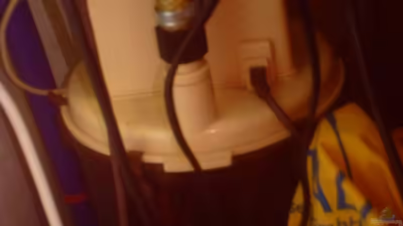 Filter von Fluval von valla88 (13)