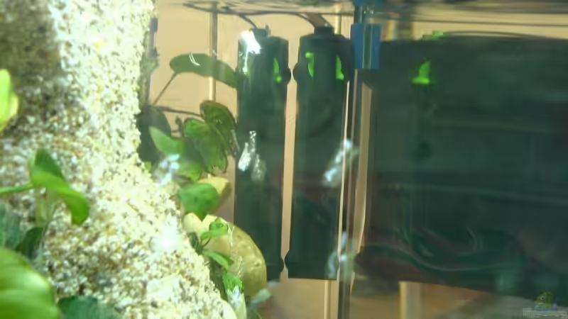 Filter von forne von Manuel Hammes (6)