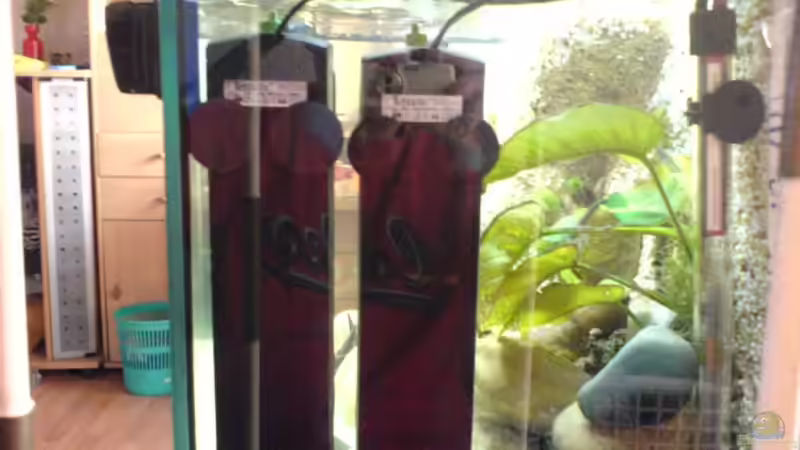 Filter von hinten von Manuel Hammes (7)