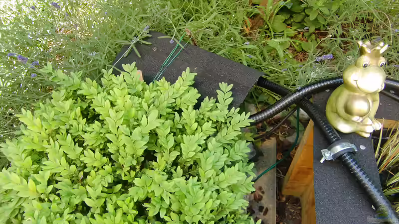 Filter von HOTU (22)