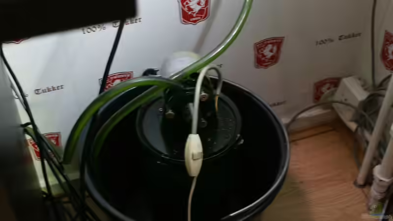 filter von Jarno Wilens (11)