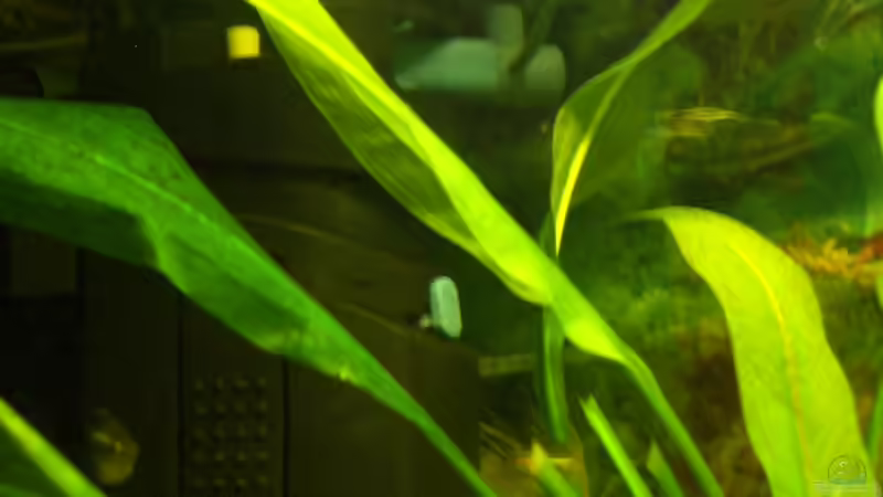 Filter von Julian Garnisch (10)