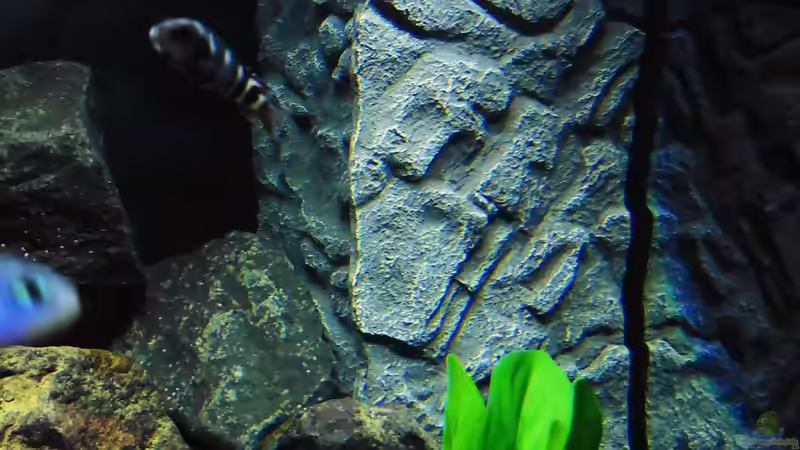 Filter von Kevin Leonhard (74)