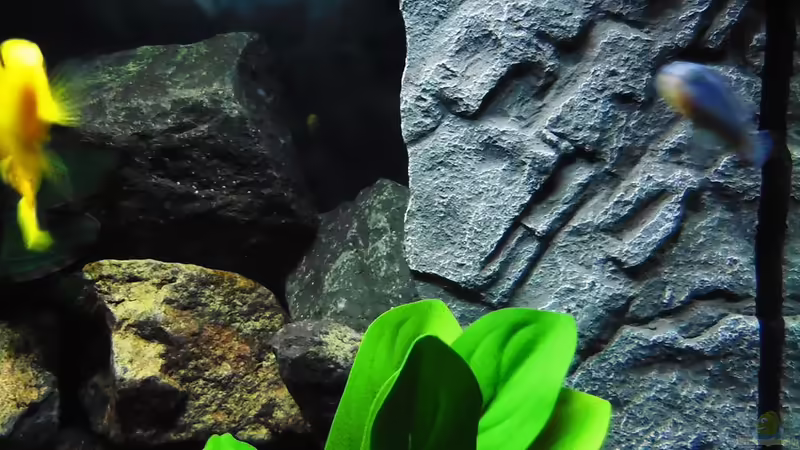 Filter von Kevin Leonhard (75)