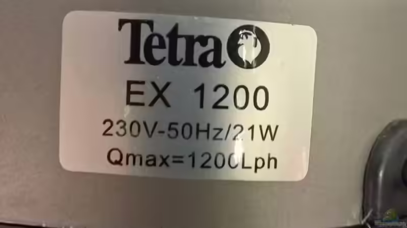 Filter von Lars 300l 1. (20)