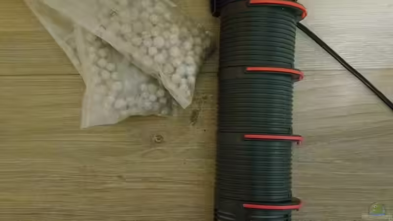 Filter von Lily (33)