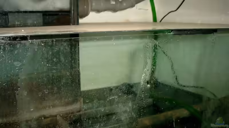 Filter von Martin Fabick (13)