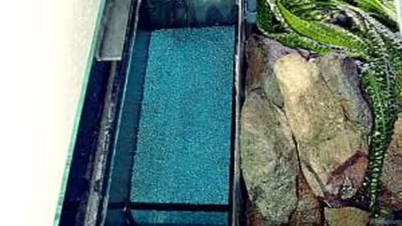 Filter von oben von Ingo Bertelmann (8)