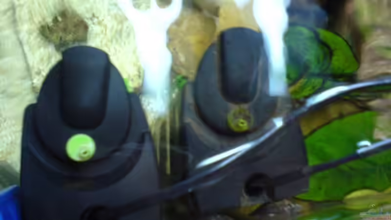 Filter von oben von Manuel Hammes (8)