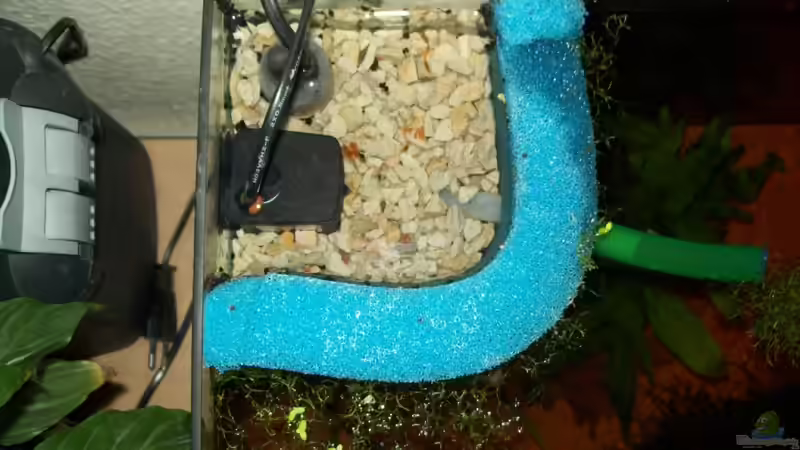 Filter von Oben von Tom Rudolph (8)