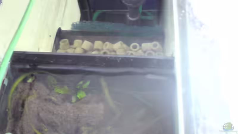 Filter von Robin (8)