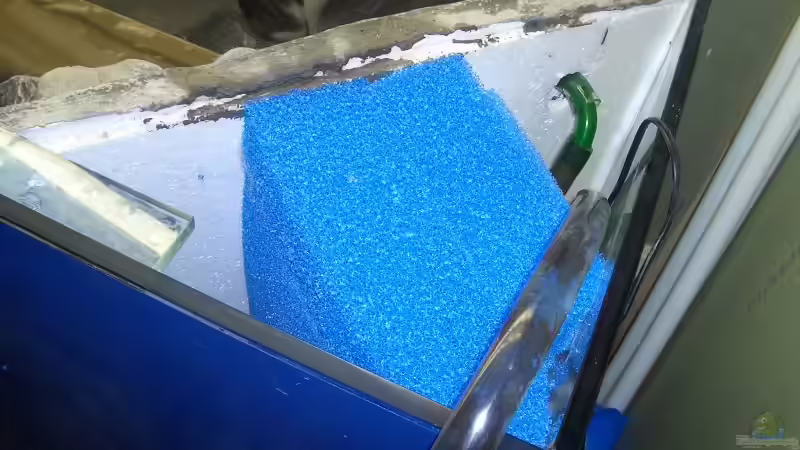 Filter von Sandro Di Giandomenico (10)