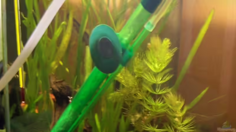 Filter von Stefan Arenth (10)