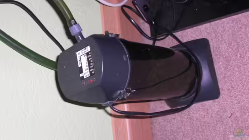 filter von the pepper (9)