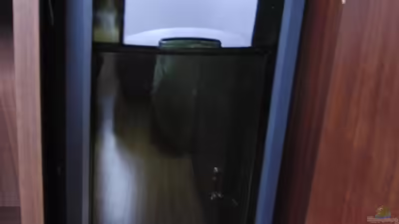 Filter von Thomas Bube (5)