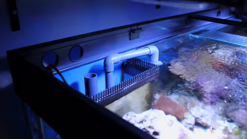 Filterablaufschacht von Micha (29)