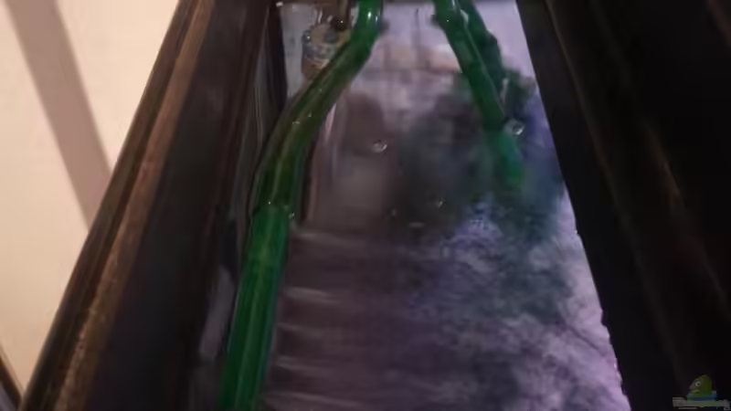 Filteranlage von Daniel Kastner (14)