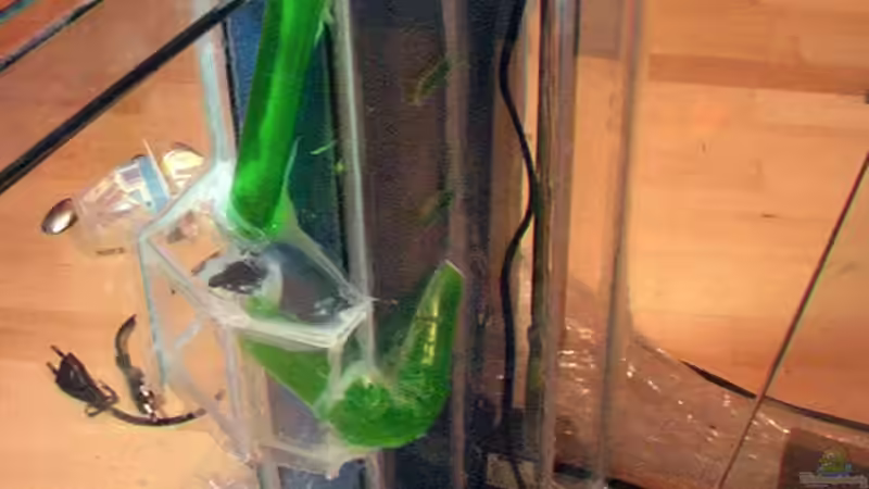 Filteranlage von Tilo Schmiedl (22)