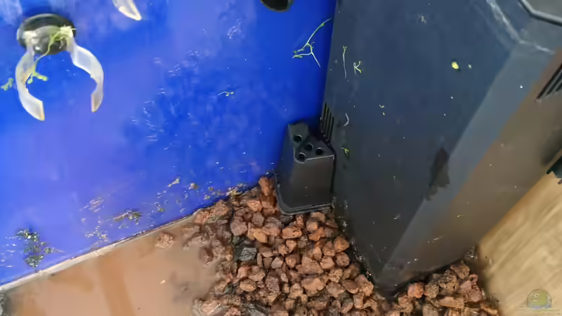 Filteransaug Abgedeckt mit Plastiktopf von Wall-E (20)