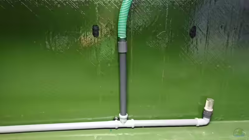 Filteransaugung von kellerkind (60)