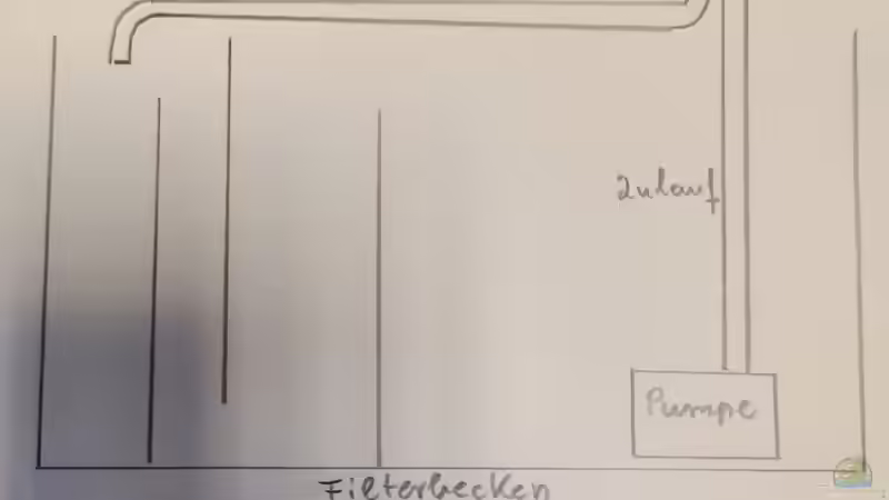 Filteraufbau von Amazonas (54)