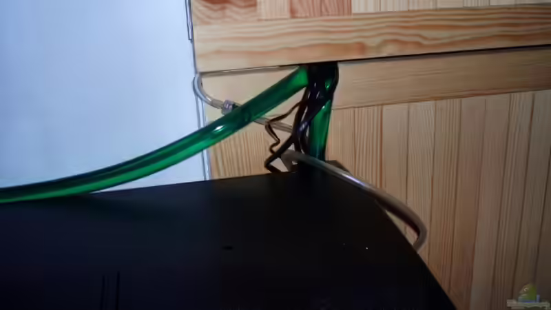 Filteraus-u.eingangsschlauch von ~Marco~ (28)