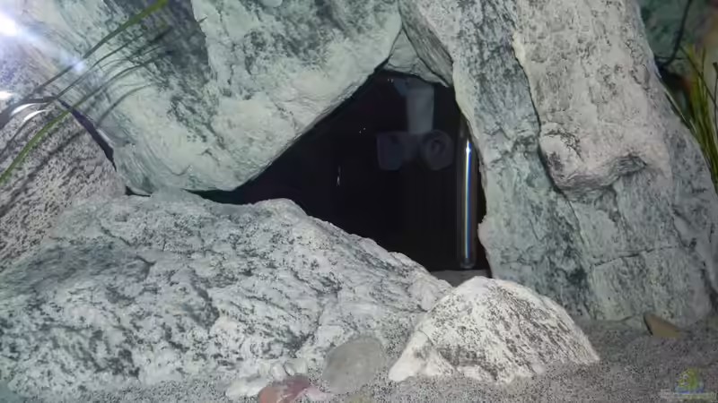 Filterauslass gut getarnt von Sternenseeträumer (33)