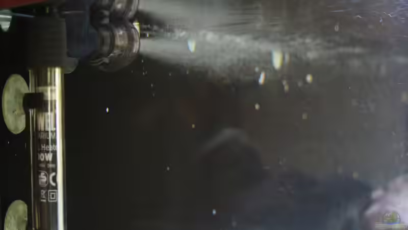 Filterauslass über Diffusor von aquariumwelt (16)