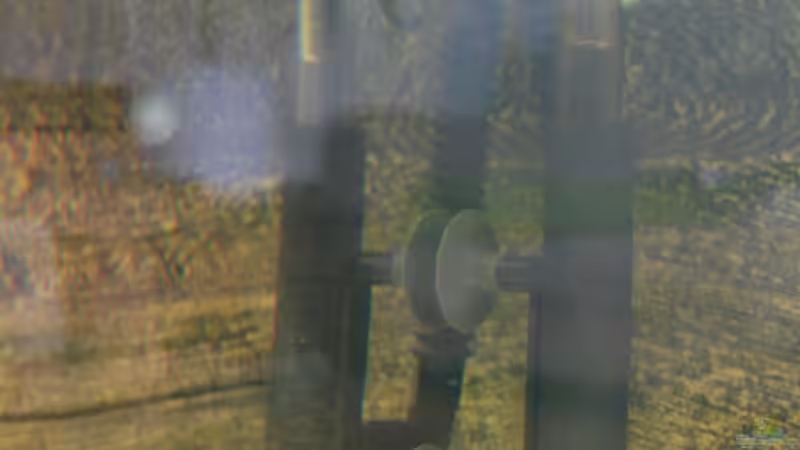 Filterauslass und Ansaugung mit Skimmer (Oberflächenabzug) vom linken größeren von derFalk (33)