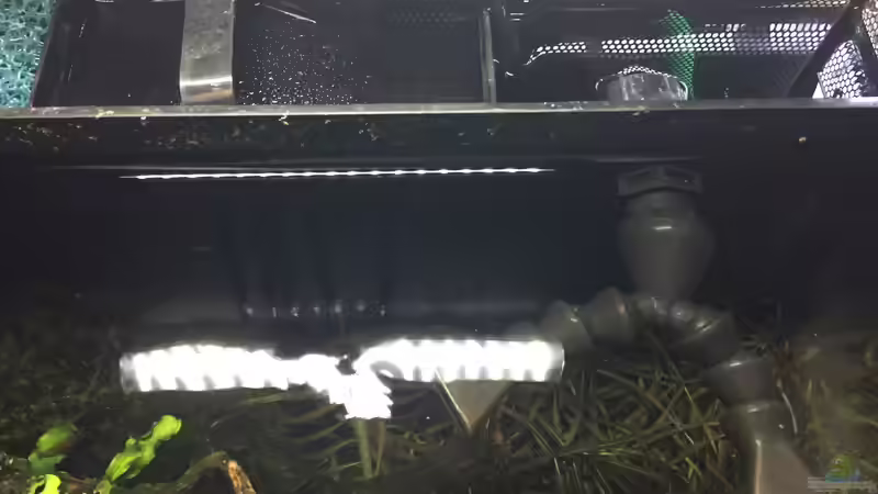 Filterauslass und Filterkammern von Danny (21)