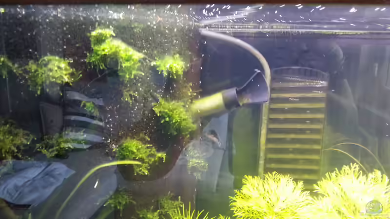 Filterauslass von Nick3 (46)