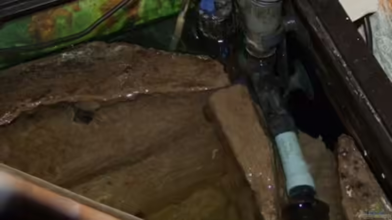 Filterauslauf von wadde (30)